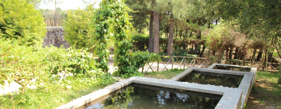 Parque de Merendas do Brejo