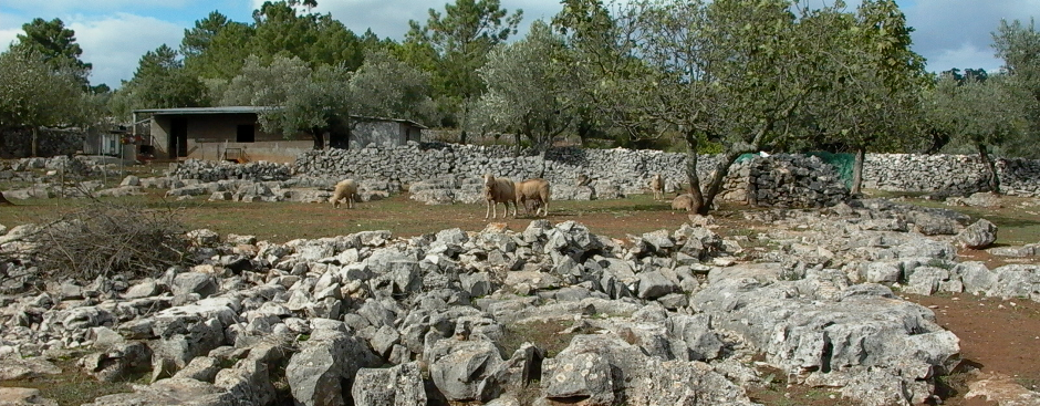 Paisagem Natural da Serra de Santo António