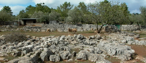 Paisagem Natural da Serra de Santo António