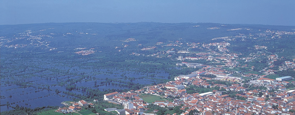 Polje de Minde